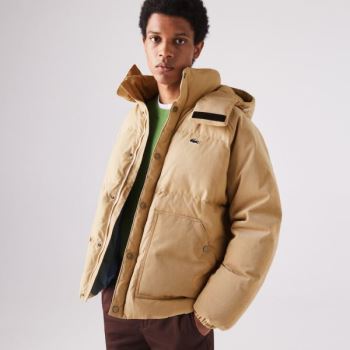 Lacoste LIVE Hætte Kort Jacket Beige | mQl4pQ4f