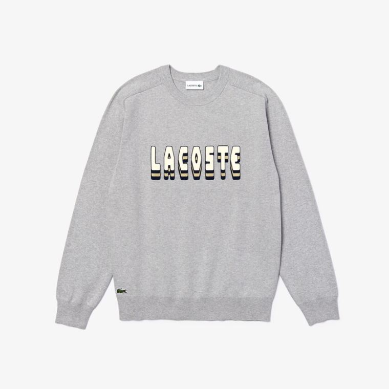 Lacoste 3D-Lettering Crewneck Bomulds Blend Sweater Grå | eg43V1Vk