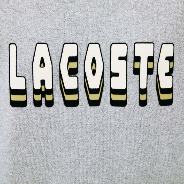 Lacoste 3D-Lettering Crewneck Bomulds Blend Sweater Grå | eg43V1Vk