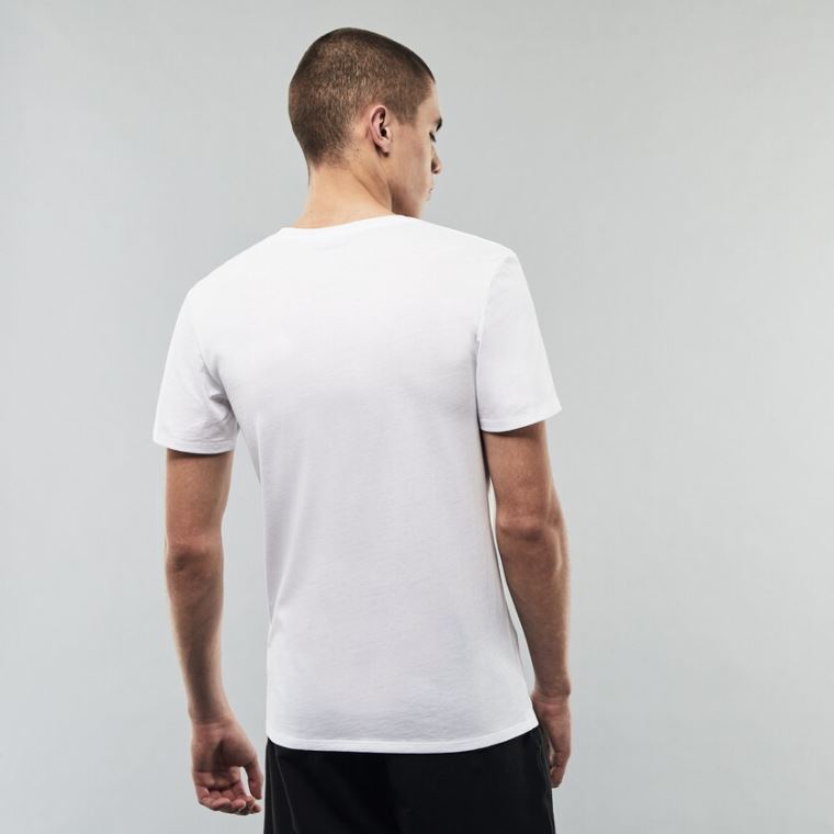 Lacoste 3 Pack of Plain T-Shirts Hvide | bbWldpW6