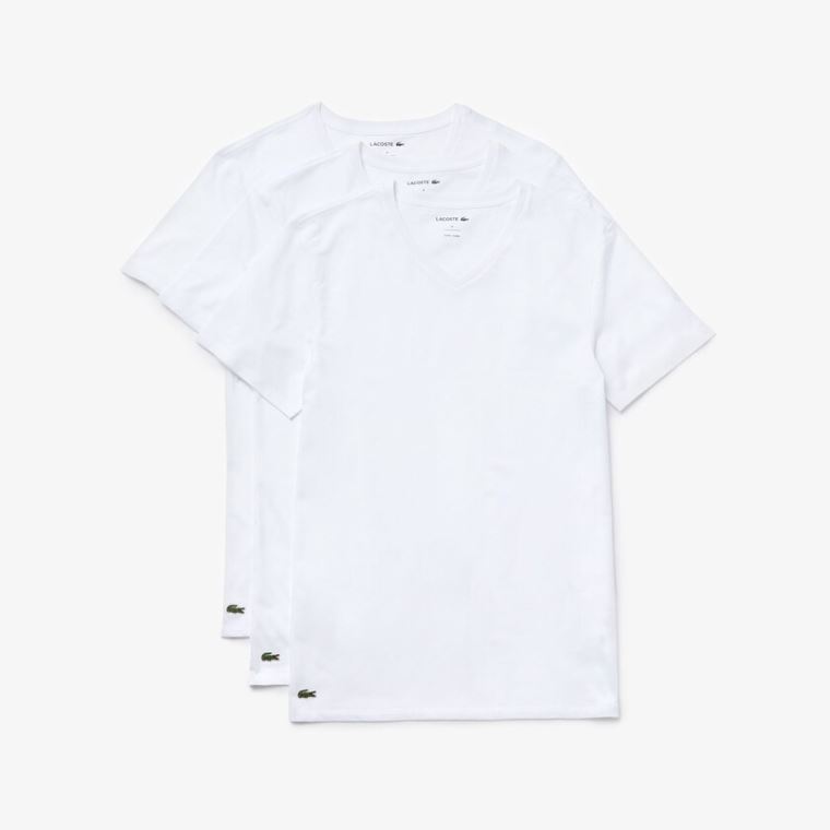 Lacoste 3 Pack of Plain T-Shirts Hvide | bbWldpW6