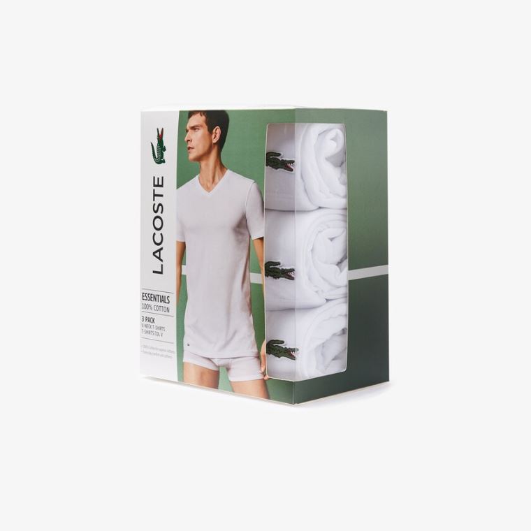 Lacoste 3 Pack of Plain T-Shirts Hvide | bbWldpW6