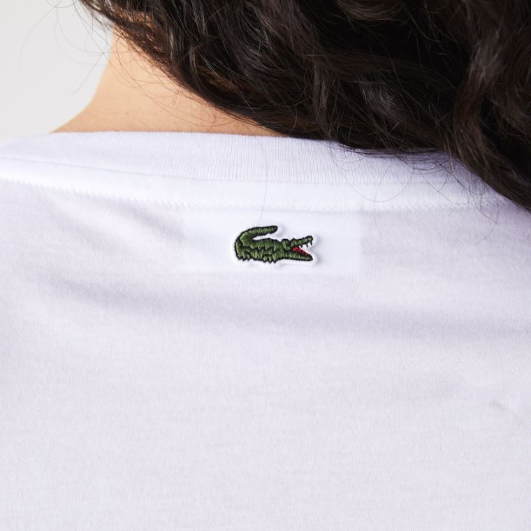 Lacoste Art-Print Bomulds T-Shirt Hvide | Ta3uTeNz