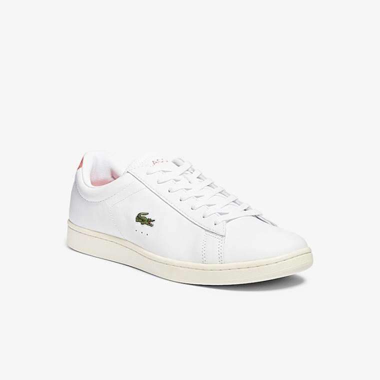 Lacoste Carnaby Evo Læder Accent Sneakers Hvide Beige | uwko9AgD