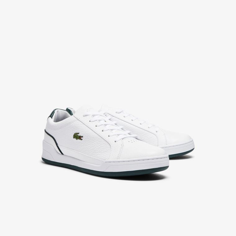 Lacoste Challenge Læder Sneakers Hvide | sQeYCPlj