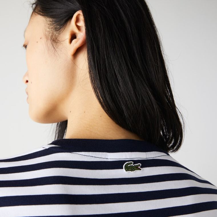 Lacoste Crew Neck Branded Striped Bomulds T-shirt Mørkeblå Blå Hvide | 5iGq5yBc