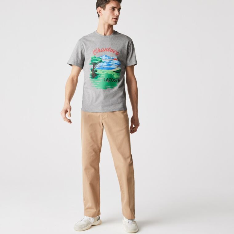 Lacoste Crew Neck Landscape Print Bomulds T-shirt Grå Rød | ePDzLUPT