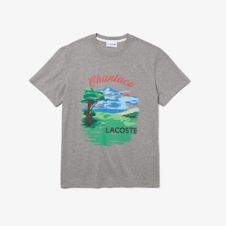 Lacoste Crew Neck Landscape Print Bomulds T-shirt Grå Rød | ePDzLUPT