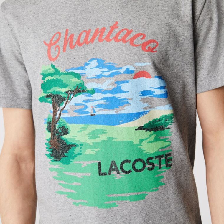 Lacoste Crew Neck Landscape Print Bomulds T-shirt Grå Rød | ePDzLUPT