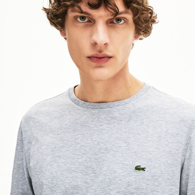 Lacoste Crew Neck Pima Bomulds Jersey T-shirt Grå | O4XEkvv2