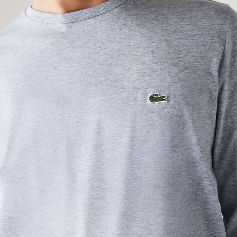 Lacoste Crew Neck Pima Bomulds Jersey T-shirt Grå | O4XEkvv2