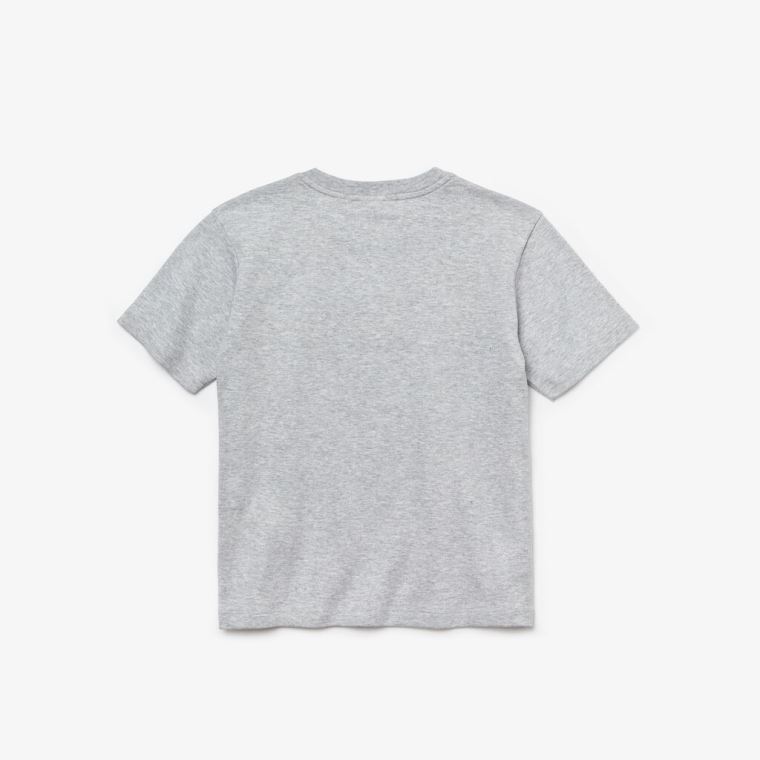 Lacoste Crew Neck Two-Tone Band Bomulds T-shirt Grå Hvide Mørkeblå Blå | kMrIeb00