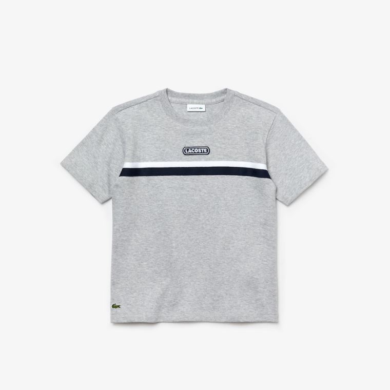 Lacoste Crew Neck Two-Tone Band Bomulds T-shirt Grå Hvide Mørkeblå Blå | kMrIeb00