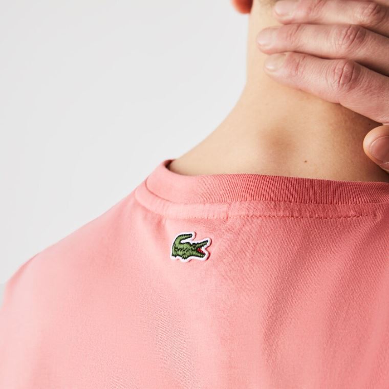 Lacoste Crocodile-Embroidery Bomulds T-shirt Lyserød | wabEctSd