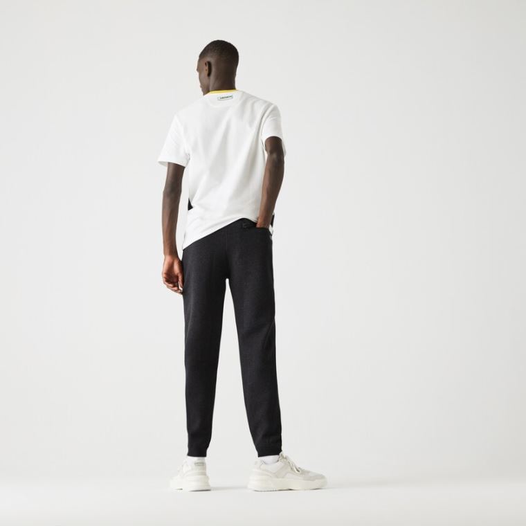 Lacoste Jogging Pants With Badge Grå | lVmsupWo