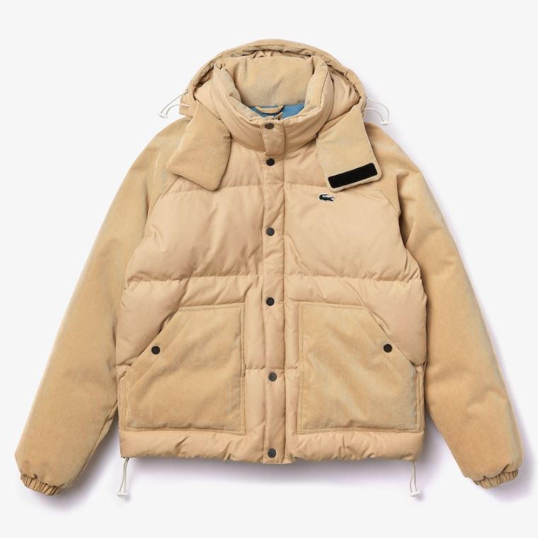 Lacoste LIVE Hætte Kort Jacket Beige | mQl4pQ4f