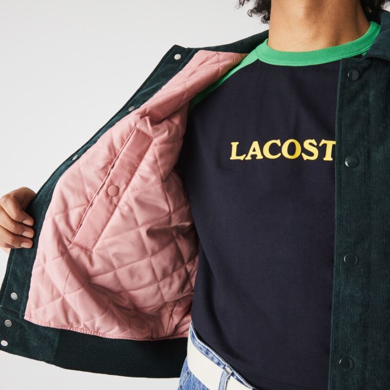 Lacoste LIVE Ribbed Velvet Bomber Jacket Mørkegrøn | Ndm8By0E