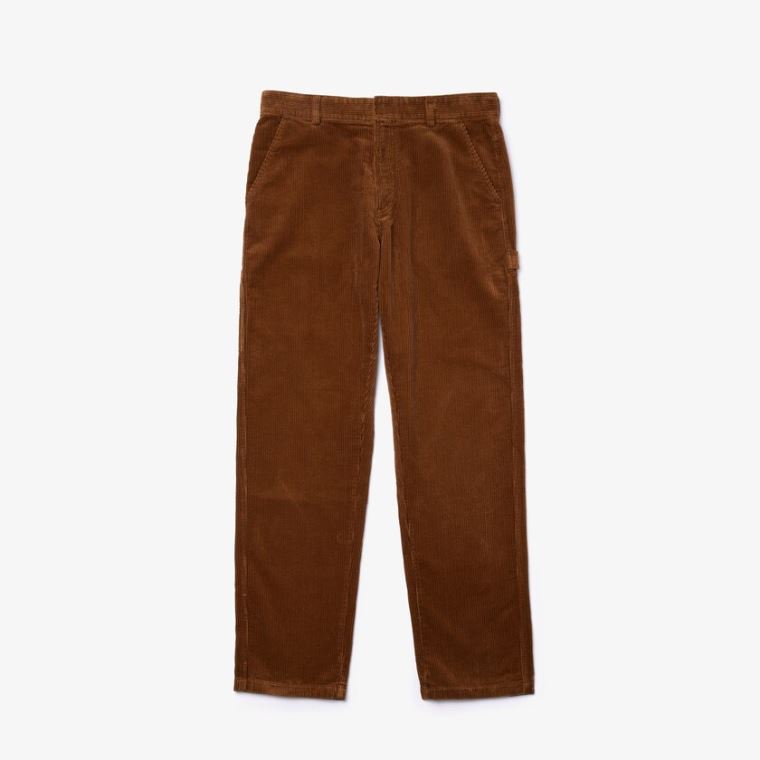 Lacoste LIVE Standard Fit Ribbed Velvet Bomulds Pants Brune | u2ApDExJ