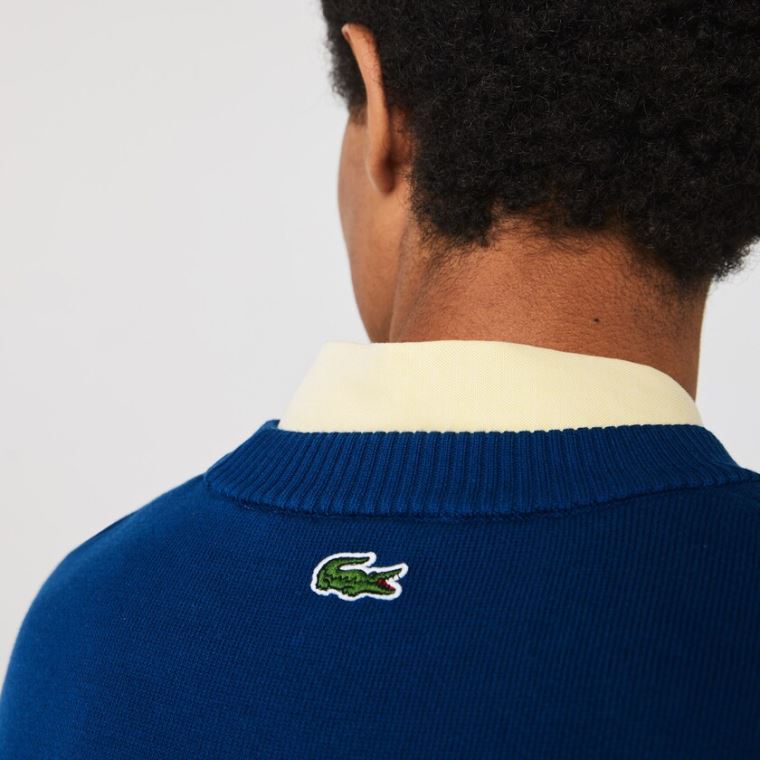 Lacoste LIVE Striped Bomulds Crew Neck Sweater Blå Hvide | Mbq9EkW1