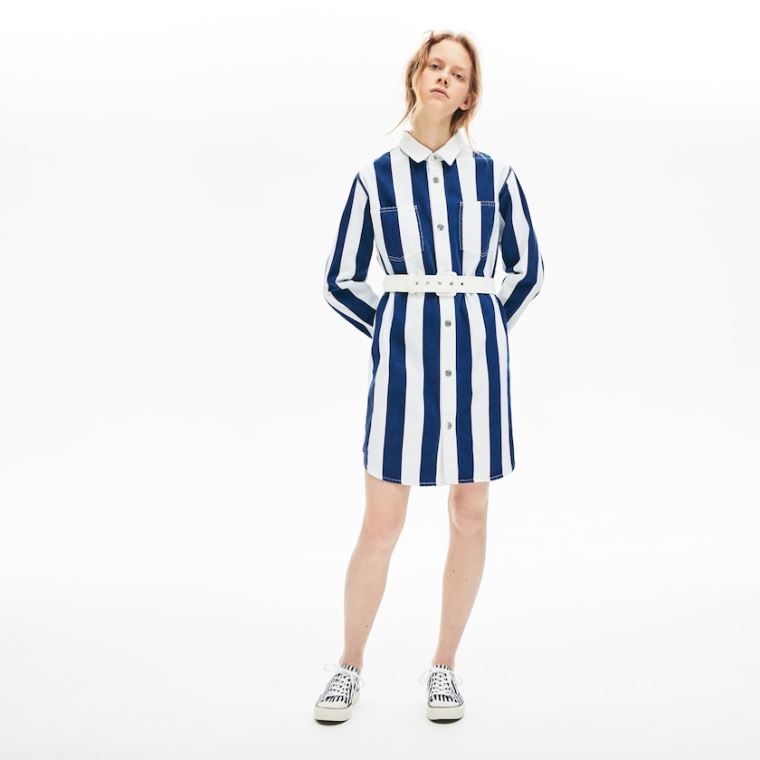 Lacoste LIVE Striped Bomulds Shirtdress Hvide Mørkeblå Blå | ytV9Poyw