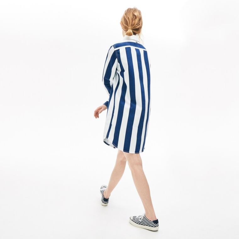 Lacoste LIVE Striped Bomulds Shirtdress Hvide Mørkeblå Blå | ytV9Poyw