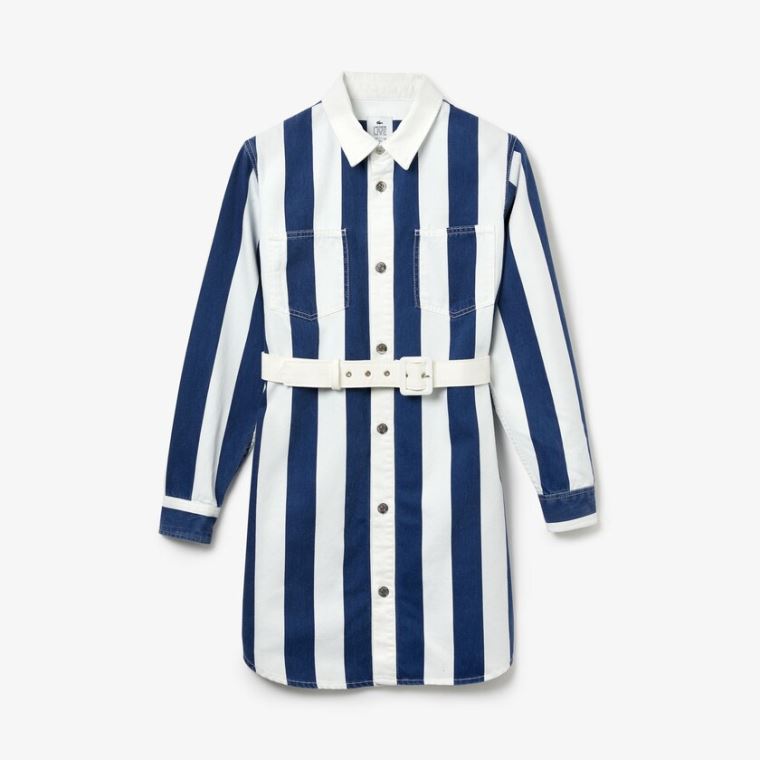 Lacoste LIVE Striped Bomulds Shirtdress Hvide Mørkeblå Blå | ytV9Poyw