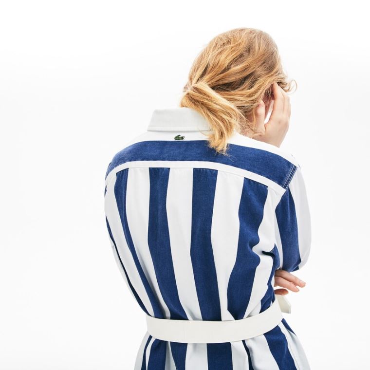 Lacoste LIVE Striped Bomulds Shirtdress Hvide Mørkeblå Blå | ytV9Poyw