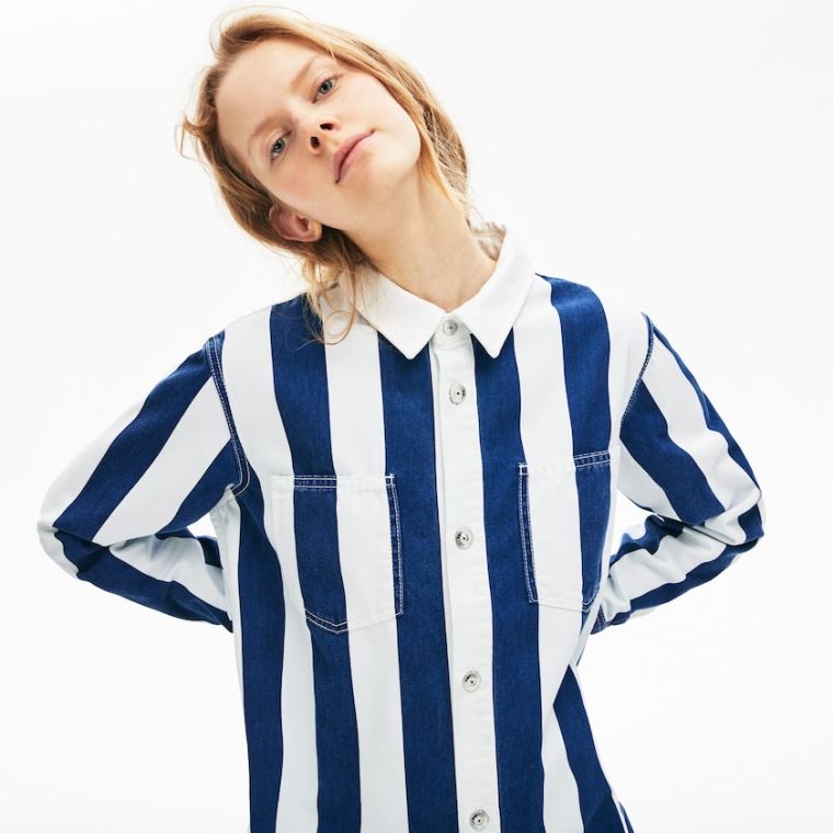 Lacoste LIVE Striped Bomulds Shirtdress Hvide Mørkeblå Blå | ytV9Poyw