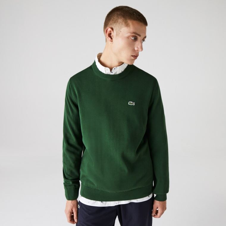 Lacoste Organic Bomulds Crew Neck Sweater Grøn | qMsn8izY