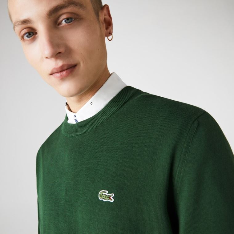 Lacoste Organic Bomulds Crew Neck Sweater Grøn | qMsn8izY