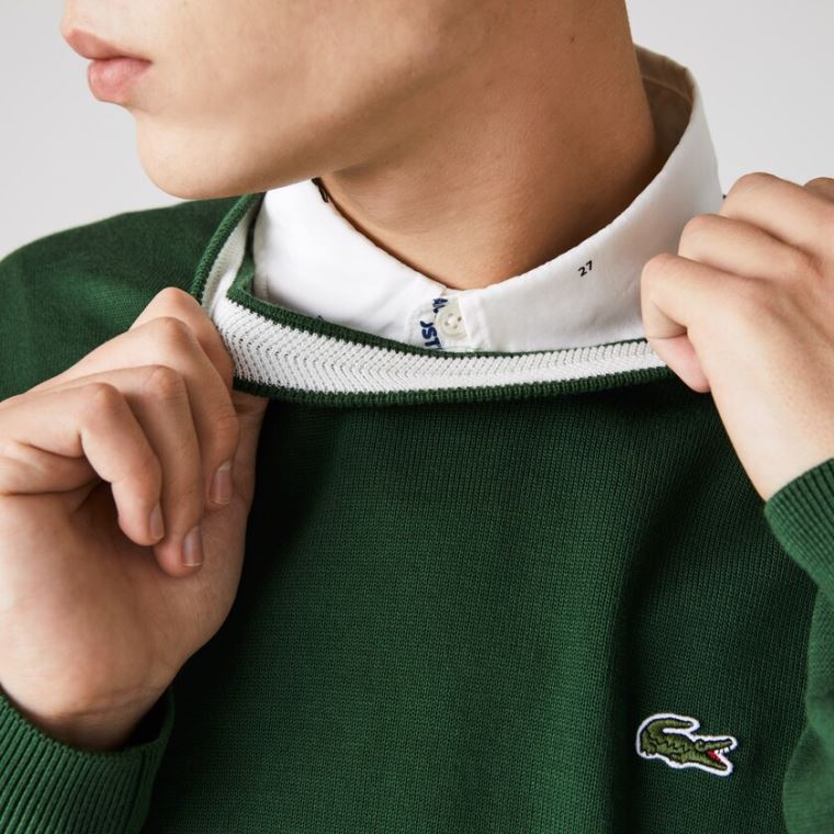 Lacoste Organic Bomulds Crew Neck Sweater Grøn | qMsn8izY