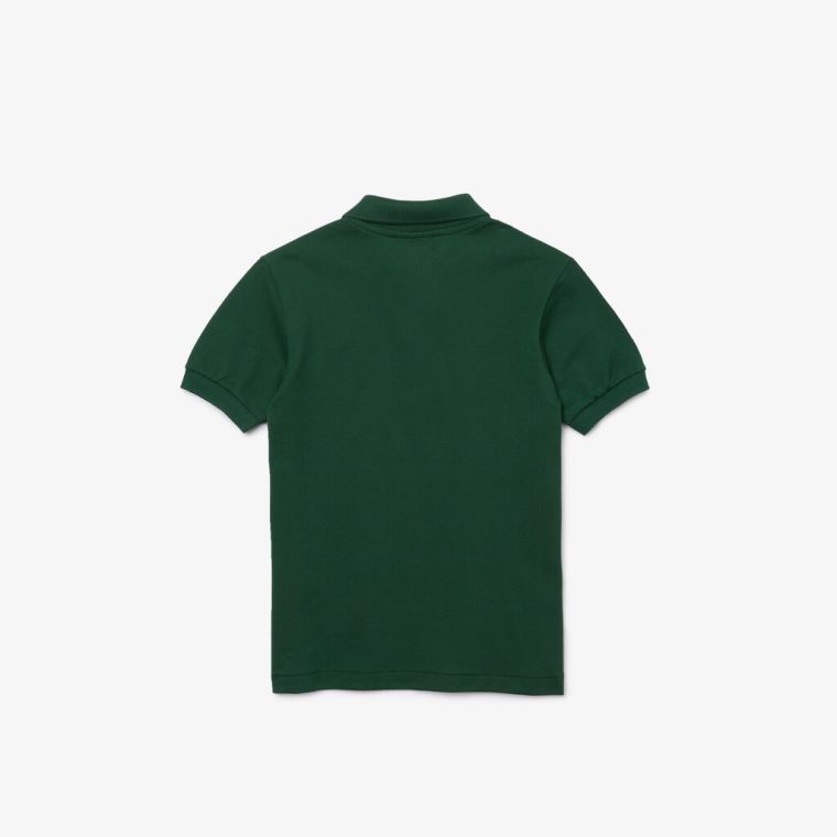 Lacoste Petit Piqué Polo Grøn | z9Ix3JRa