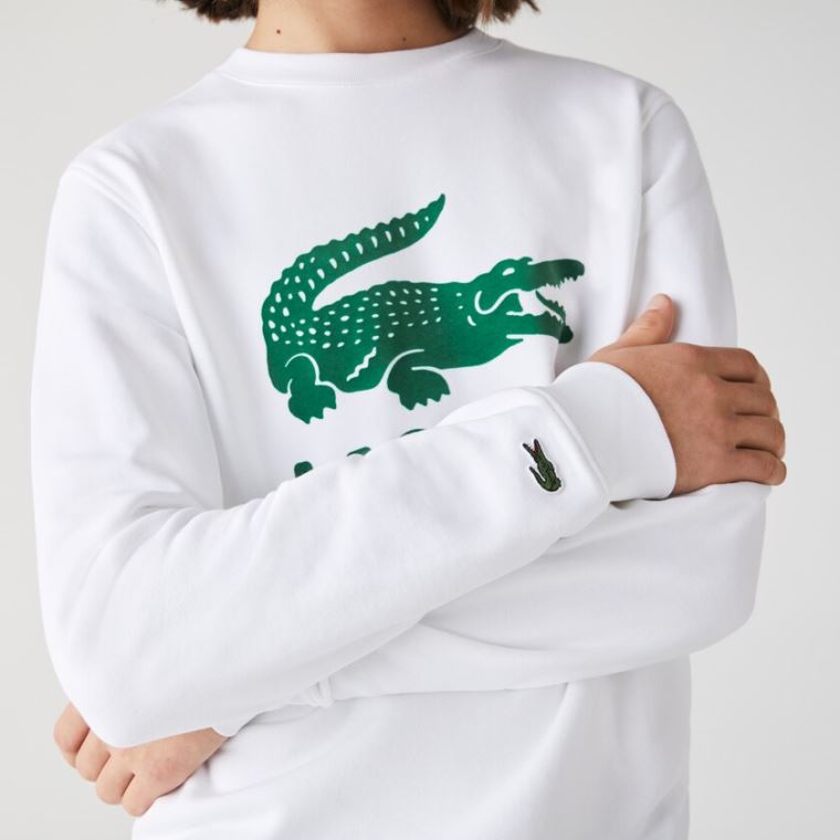 Lacoste Printed Logo Fleece Crew Neck Sweatshirt Hvide | ENEbSbNp