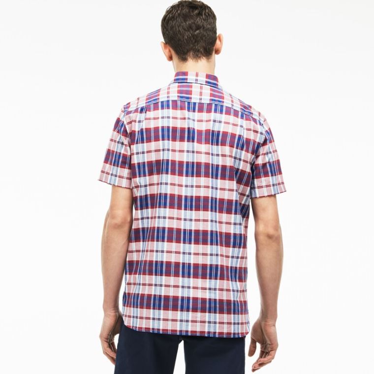 Lacoste Regular Fit Check Oxford Shirt Rød | GI3OxrF4