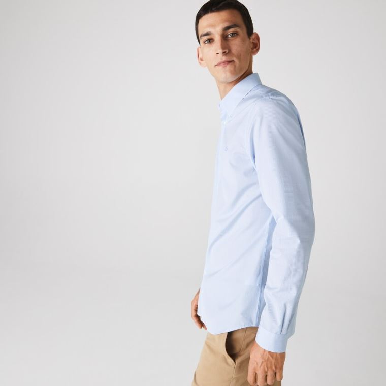 Lacoste Regular Fit Checkered Premium Bomulds Poplin Shirt Hvide Blå | bGzlvXou