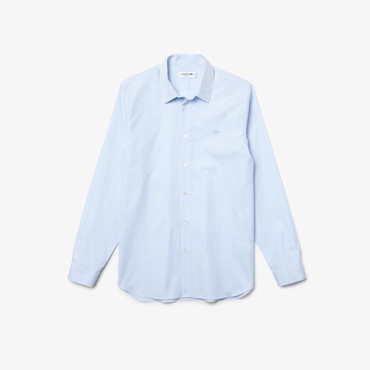 Lacoste Regular Fit Checkered Premium Bomulds Poplin Shirt Hvide Blå | bGzlvXou