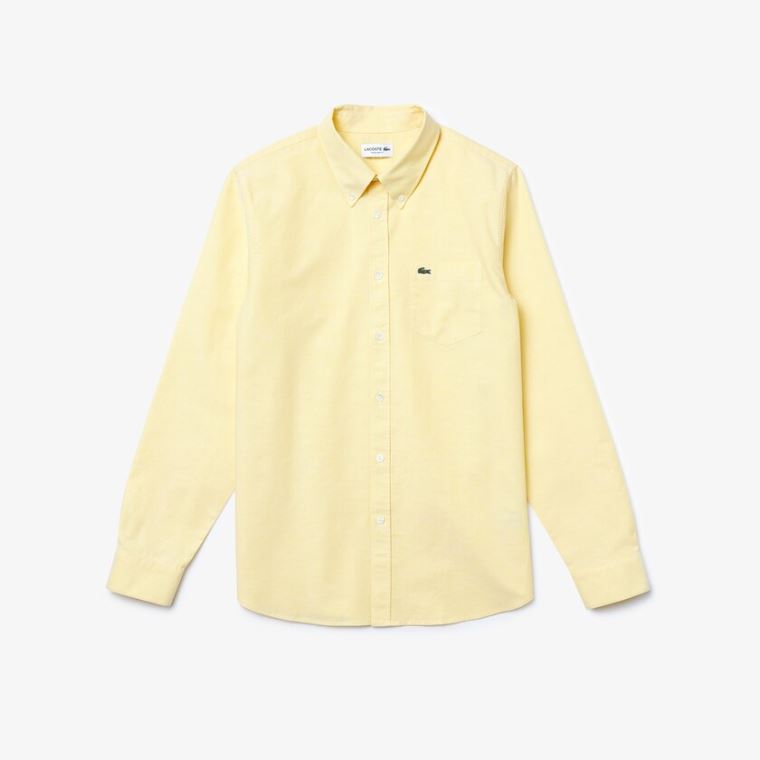 Lacoste Regular Fit Oxford Bomulds Shirt Gul | ECZNIz8o