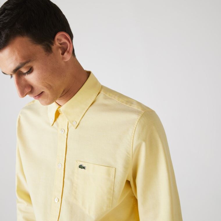 Lacoste Regular Fit Oxford Bomulds Shirt Gul | ECZNIz8o