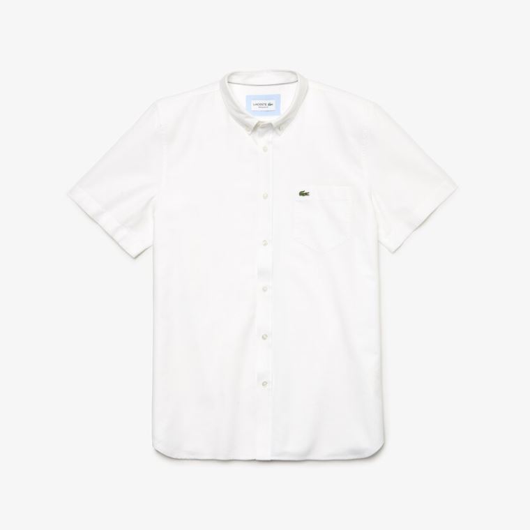 Lacoste Regular Fit Oxford Bomulds Shirt Hvide | uta1lzsV