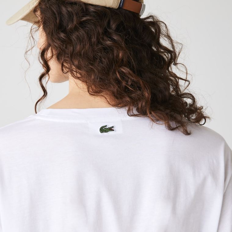 Lacoste Signature Printed Crew Neck Bomulds T-shirt Hvide Mørkeblå Blå | DMrHwTYG