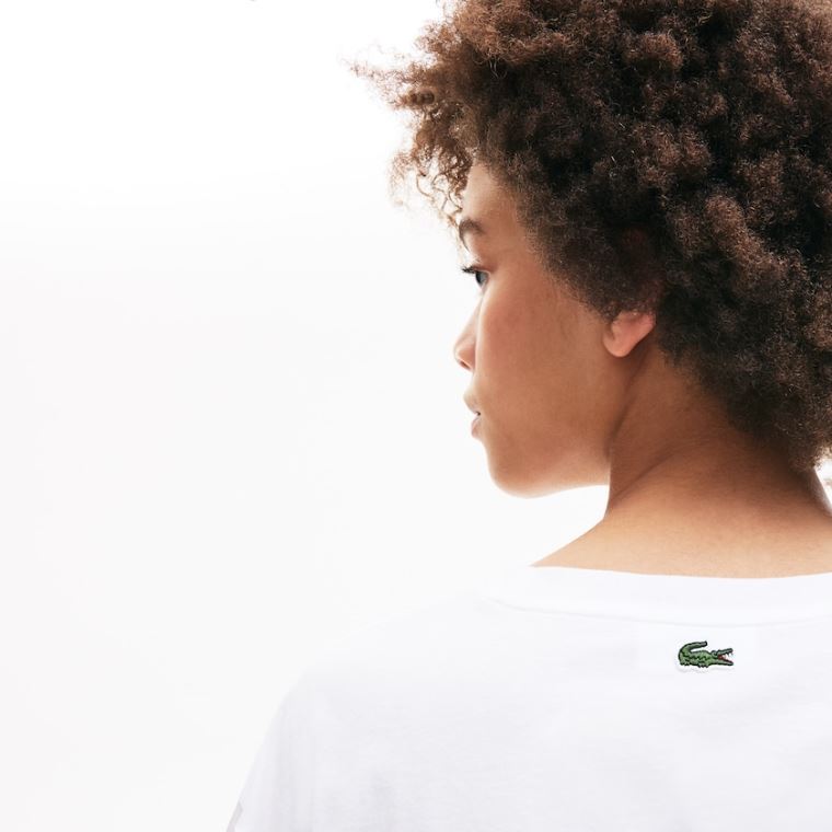 Lacoste Signature Printed Crew Neck Bomulds T-shirt Hvide Mørkeblå Blå | DMrHwTYG