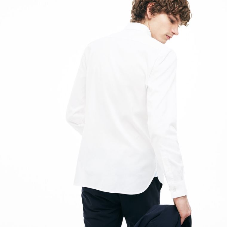 Lacoste Slim Fit Stretch Bomulds Pinpoint Shirt Hvide | elszUfB3