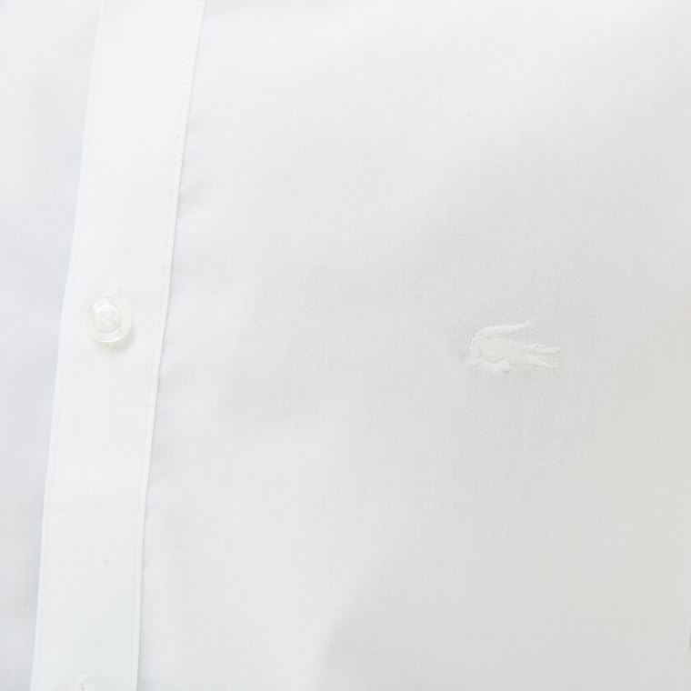 Lacoste Slim Fit Stretch Bomulds Shirt Hvide | N4Yi5Dnc