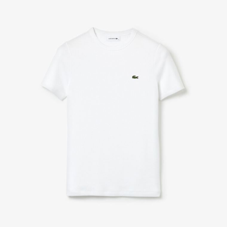 Lacoste Soft Bomulds Crew Neck T-shirt Hvide | DPWi7vl9