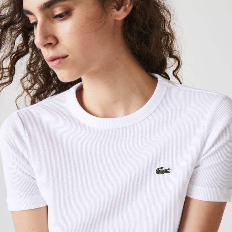 Lacoste Soft Bomulds Crew Neck T-shirt Hvide | DPWi7vl9