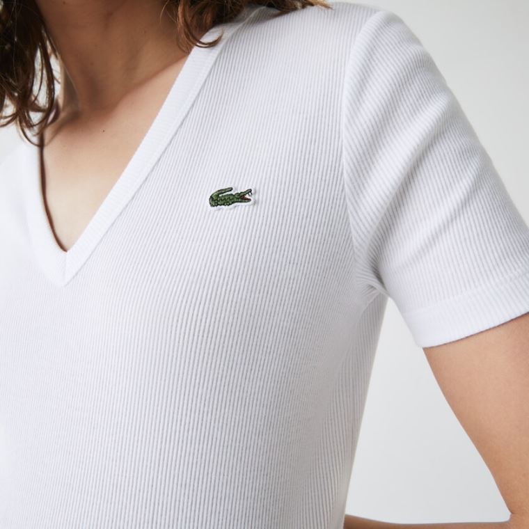 Lacoste Soft Bomulds V-Neck T-shirt Hvide | PllejO5g