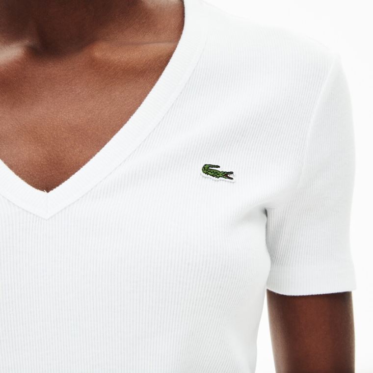 Lacoste Soft Bomulds V-Neck T-shirt Hvide | PllejO5g