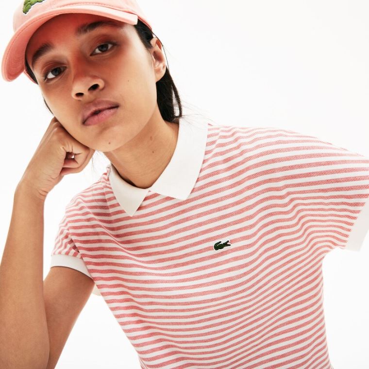 Lacoste Striped Polo Rød Hvide | MapuQM2a