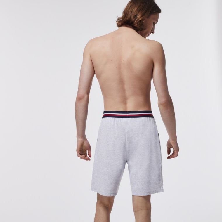 Lacoste Striped-Talje Long Boxer Briefs Grå | H7o0yhbK