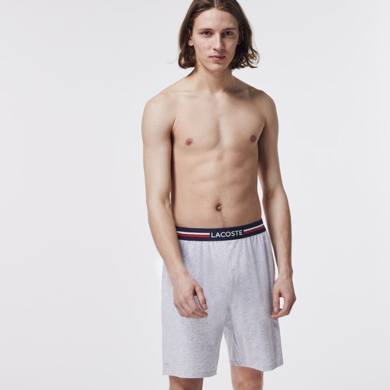 Lacoste Striped-Talje Long Boxer Briefs Grå | H7o0yhbK